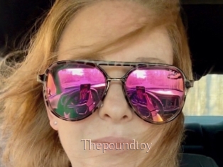 Thepoundtoy