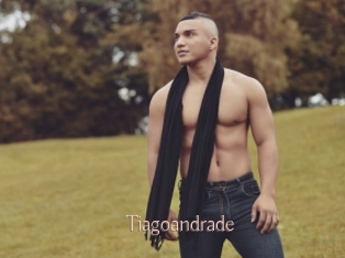 tiagoandrade Anal Sexe