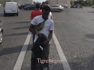 Tigrenegro