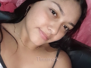 Tinnimark