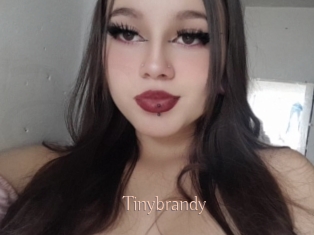 Tinybrandy