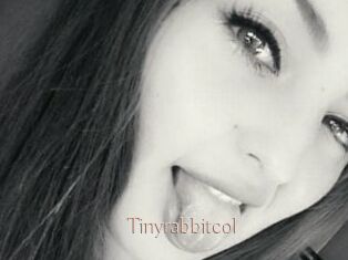 Tinyrabbitcol