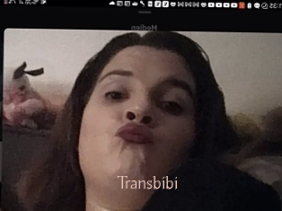 Transbibi