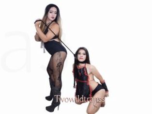 Twowildtranss