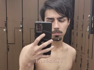 Twunkmikee