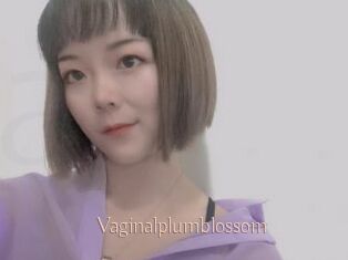 Vaginalplumblossom