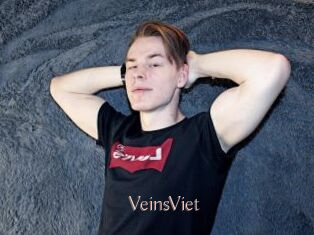 VeinsViet