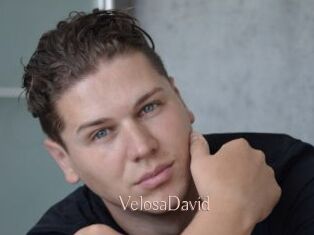 VelosaDavid