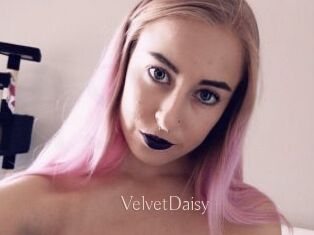 VelvetDaisy