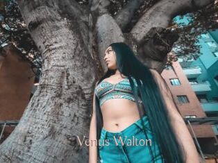 Venus_Walton