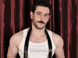 VincentGali