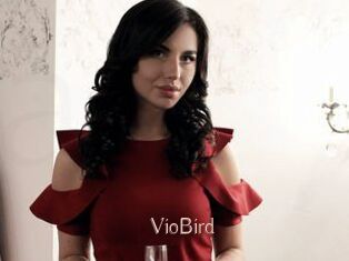 VioBird