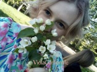 ViolaCamomile