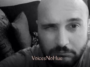 VoicesNoHue