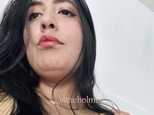 Vaneholmes