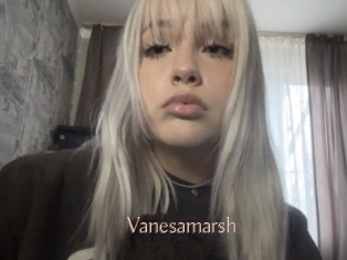Vanesamarsh