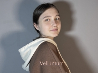 Vellumurr