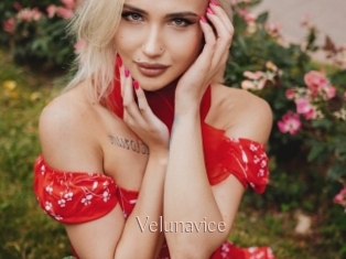 Velunavice