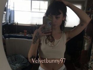 Velvetbunny97