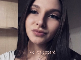 Velvetleopard