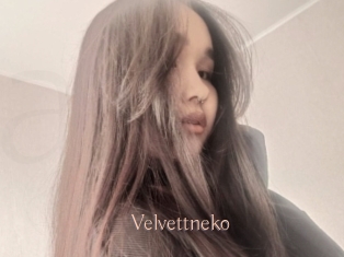 Velvettneko