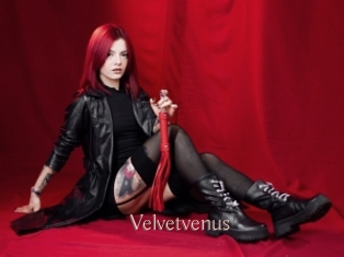 Velvetvenus