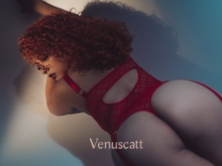 Venuscatt