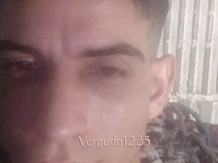 Vergudo1235