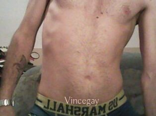 Vincegay