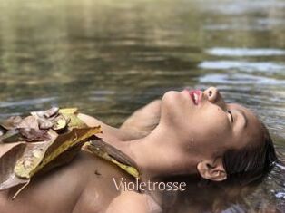 Violetrosse