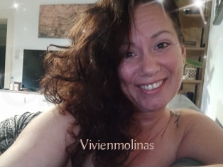 Vivienmolinas