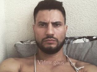 Vldmr_gaus