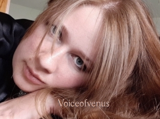 Voiceofvenus