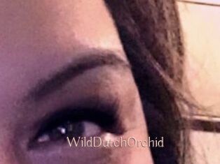 WildDutchOrchid