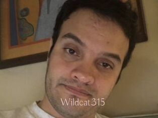 Wildcat315