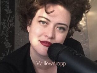 Willowdropp