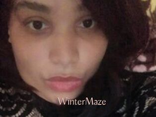 Winter_Maze