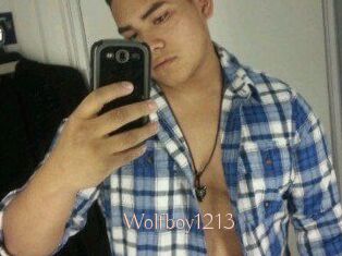 Wolfboy1213