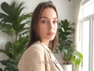 Wandaenderby