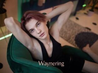 Waynering