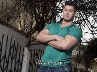Waynneprice