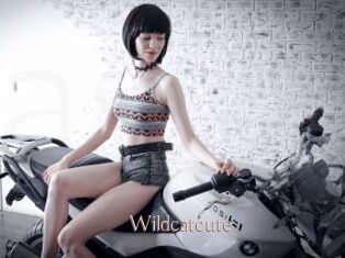 Wildcatcute