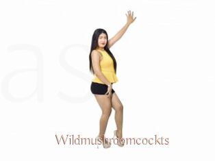 Wildmushroomcockts