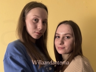 Willaandantonia