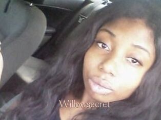 Willow_secret