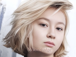 Wilonefudge