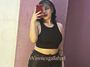 Winniexgallahad
