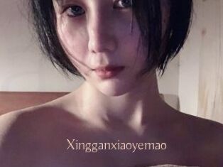 Xingganxiaoyemao