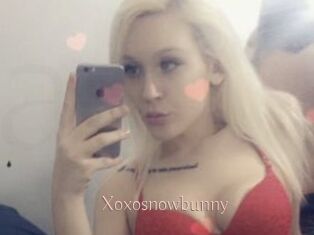 Xoxosnowbunny