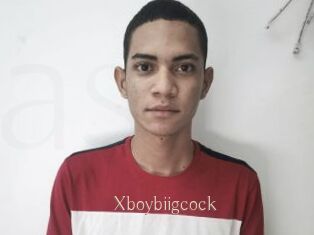 Xboybiigcock